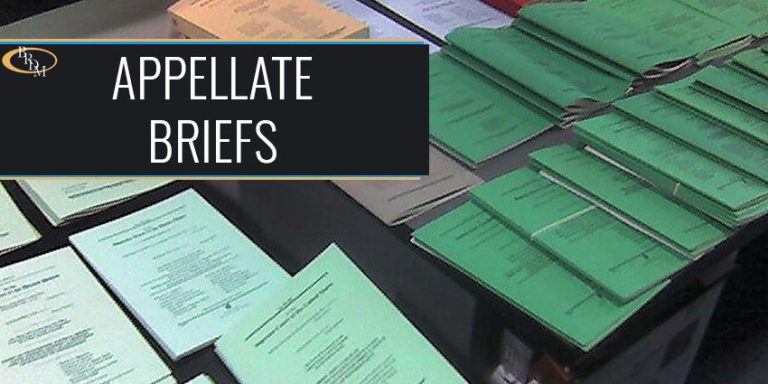 Appellate Briefs