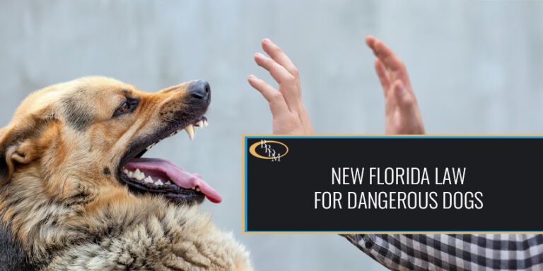 Florida Now Requires 100k of Insurance for Dangerous Dogs